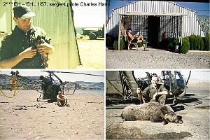 204- ARMEE DE L'AIR EN ALGERIE 1945-1962-52 (73)